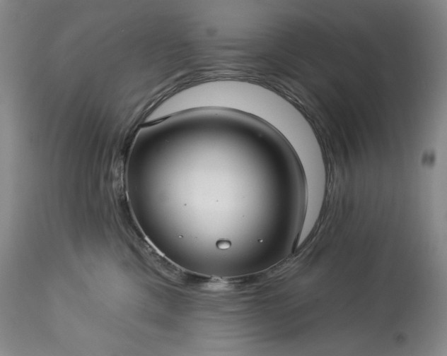 X0000113340425200909291035