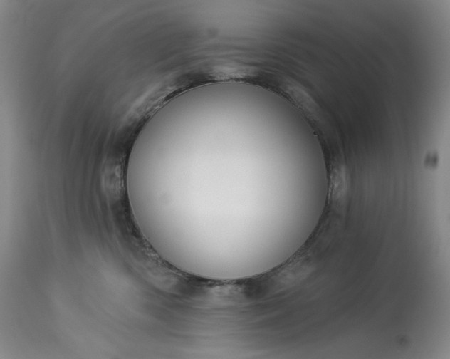 X0000113340426200909291035