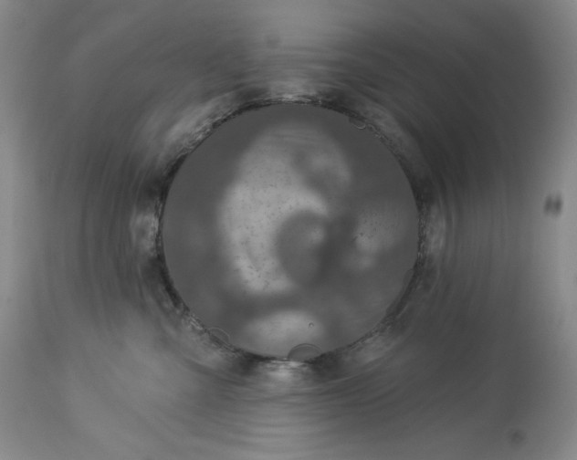 X0000113340427200909291035