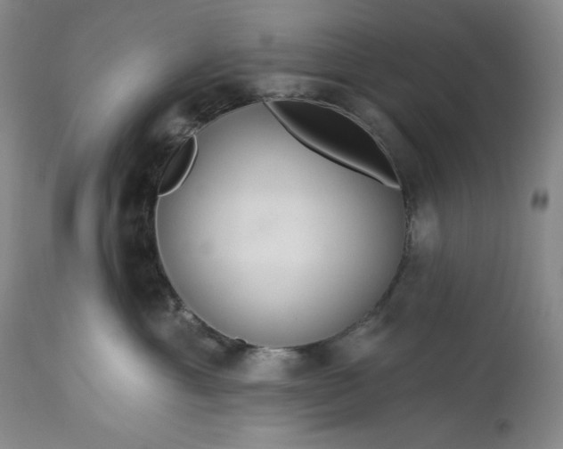 X0000113340429200909291035