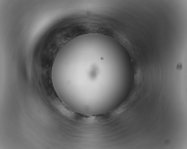 X0000113340430200909291035