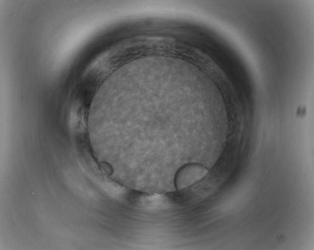 X0000113340431200909291035