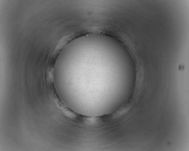 X0000113340432200909291035