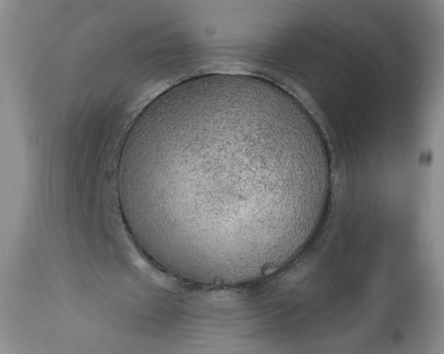 X0000113340433200909291034