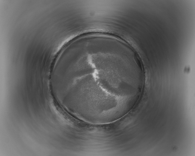 X0000113340434200909291034