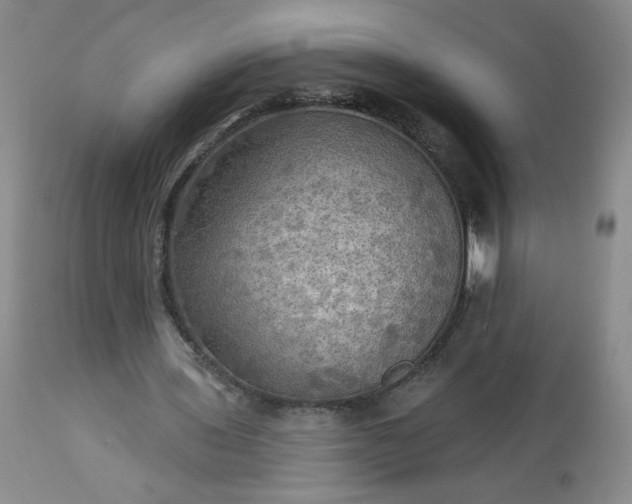 X0000113340435200909291034