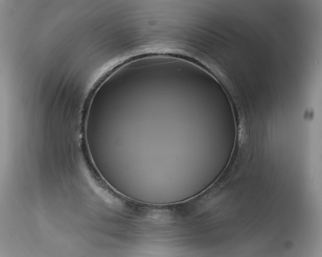 X0000113340438200909291034