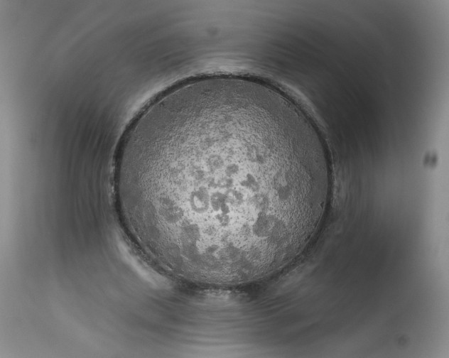 X0000113340439200909291034