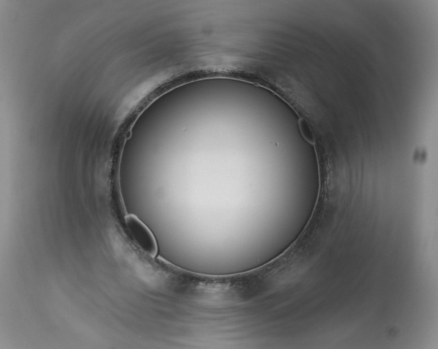 X0000113340440200909291034