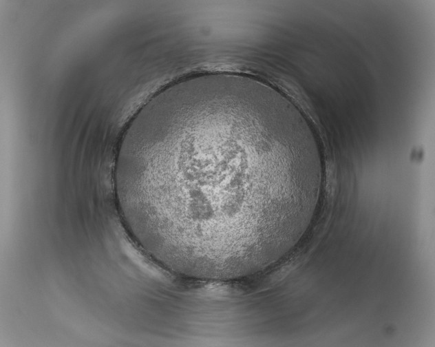 X0000113340441200909291034