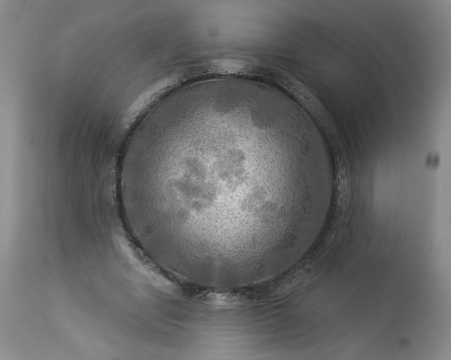 X0000113340442200909291034