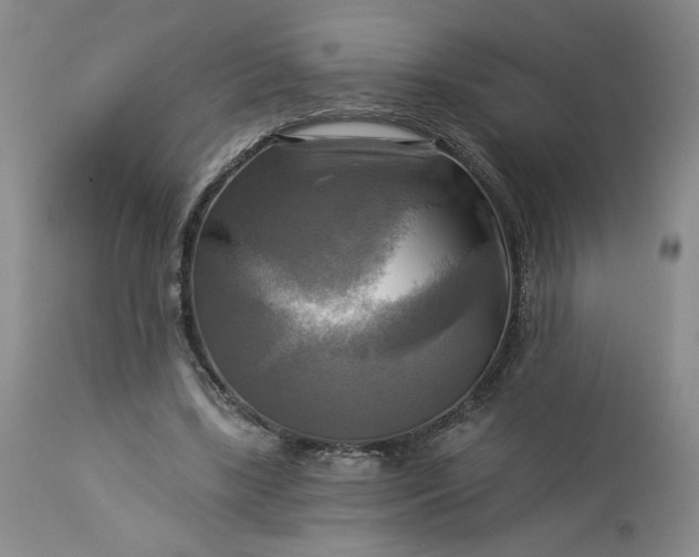 X0000113340443200909291034