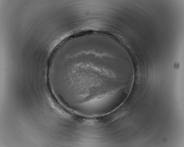 X0000113340446200909291034