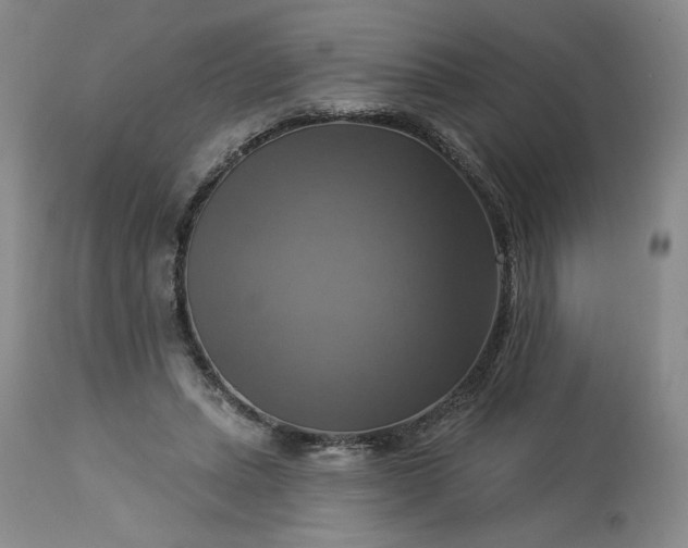 X0000113340447200909291034