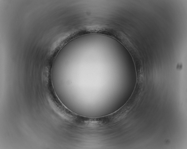 X0000113340448200909291034