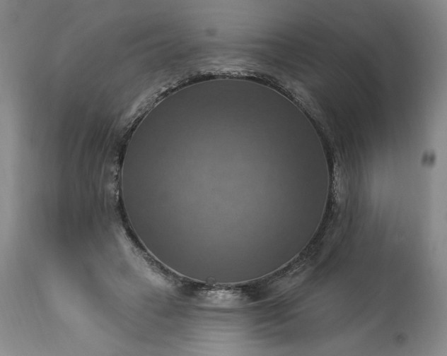 X0000113340449200909291034