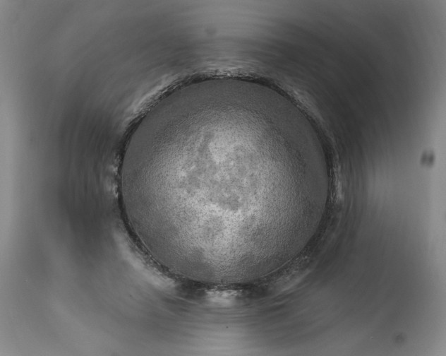 X0000113340450200909291034