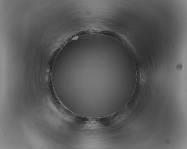 X0000113340451200909291034