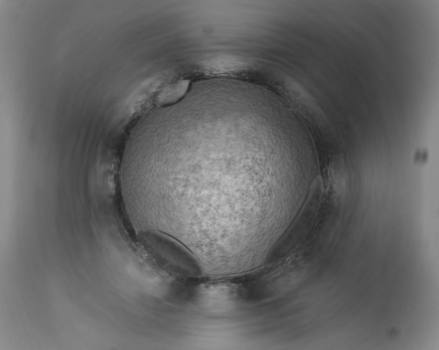 X0000113340452200909291034