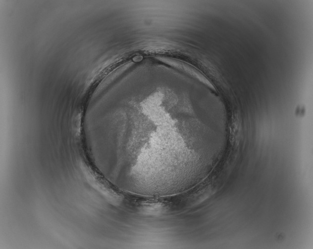 X0000113340454200909291034