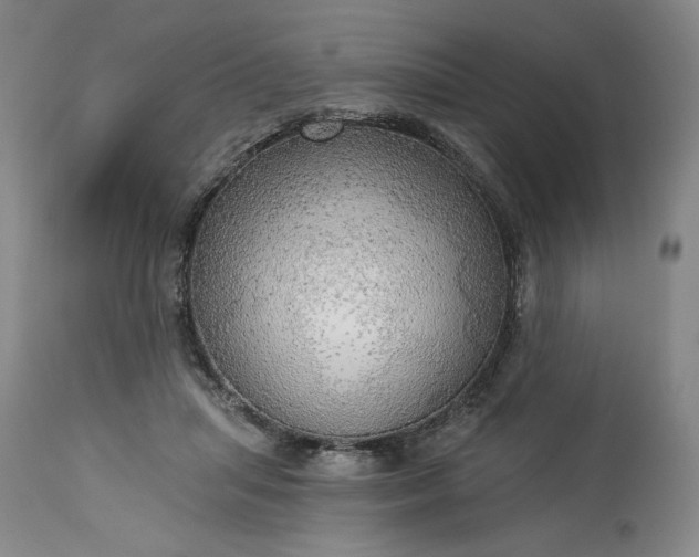 X0000113340455200909291034