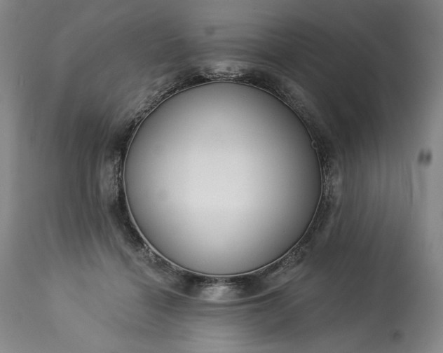 X0000113340460200909291034