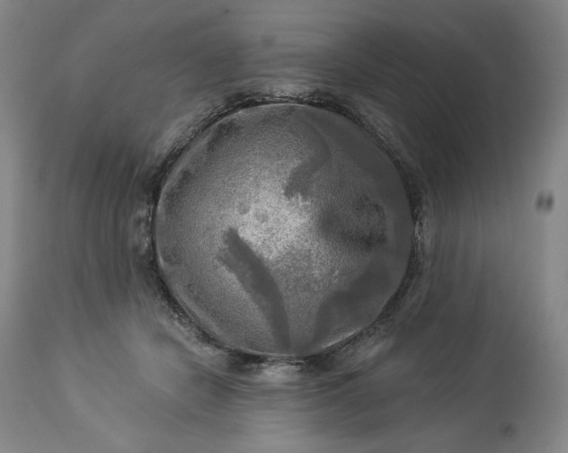 X0000113340462200909291034