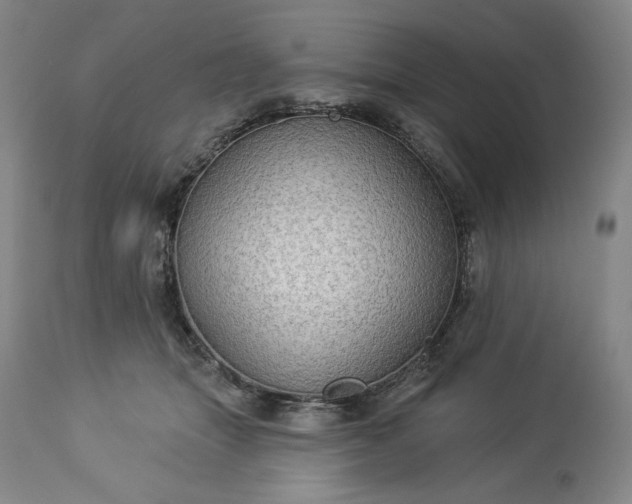 X0000113340463200909291034