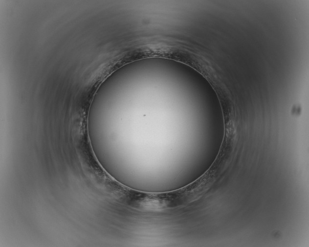 X0000113340464200909291034