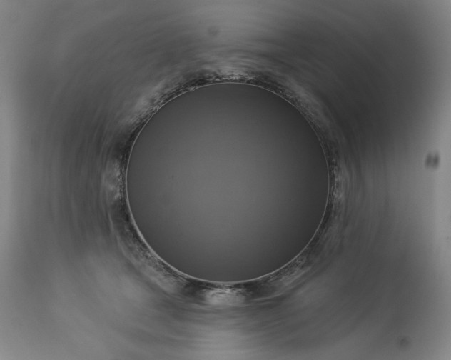 X0000113340465200909291034