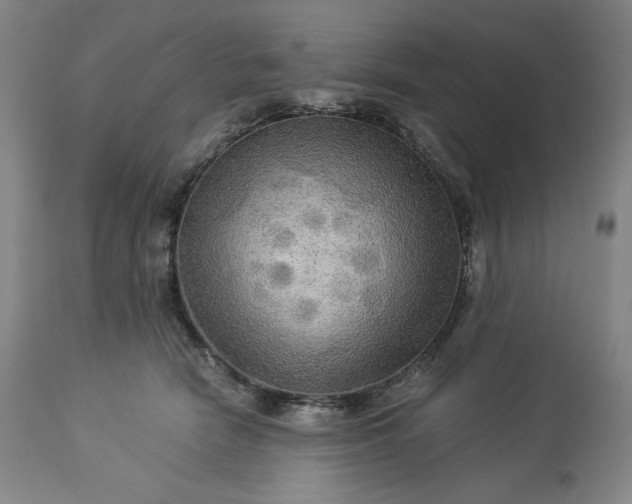 X0000113340466200909291034