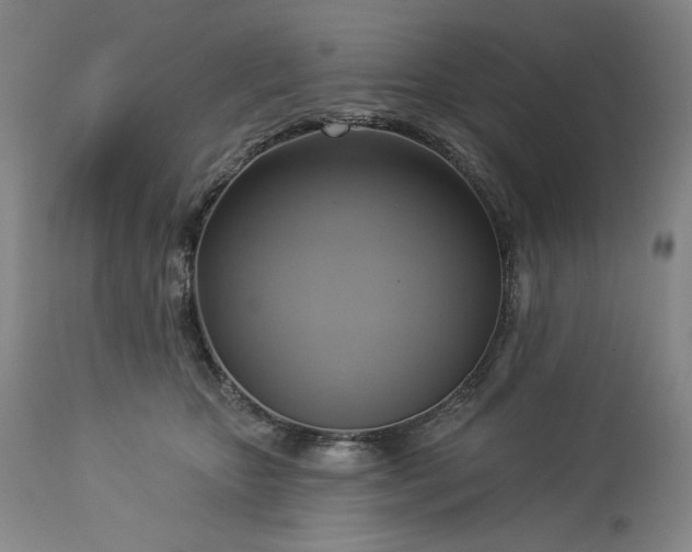 X0000113340467200909291034