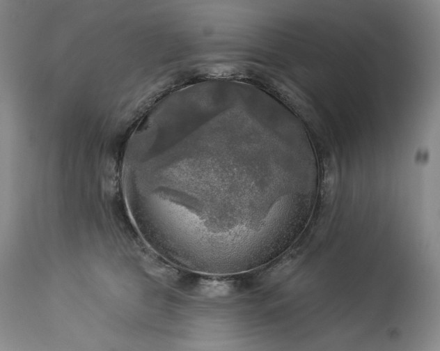 X0000113340469200909291034