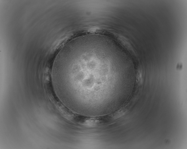 X0000113340470200909291034