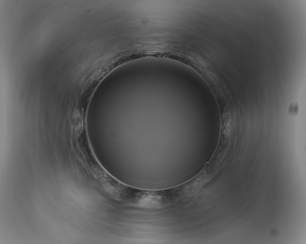 X0000113340471200909291034