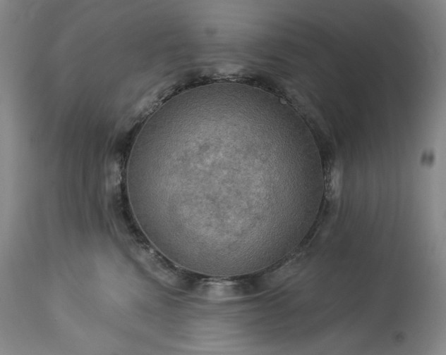 X0000113340472200909291034