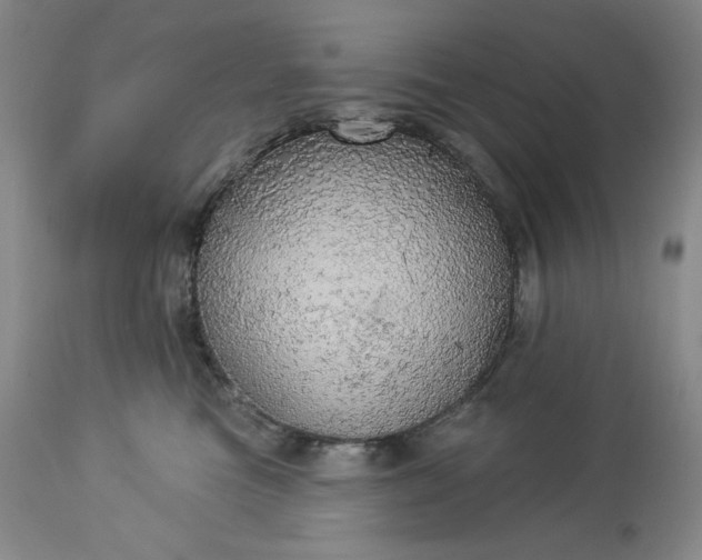 X0000113340473200909291034