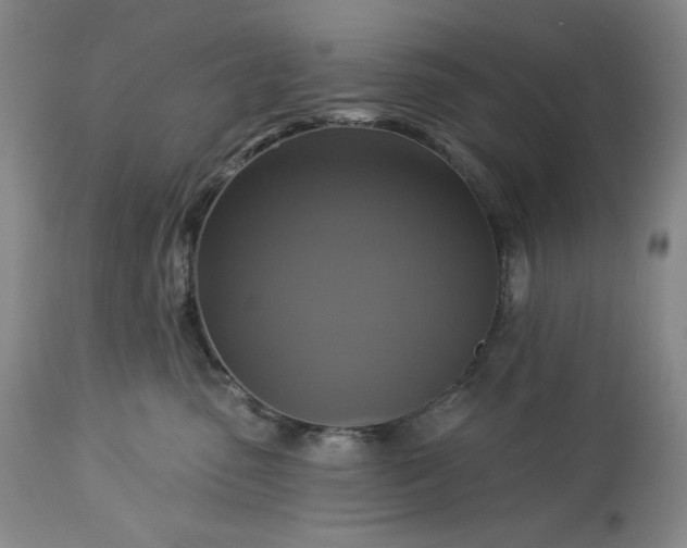 X0000113340475200909291034