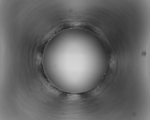 X0000113340476200909291034