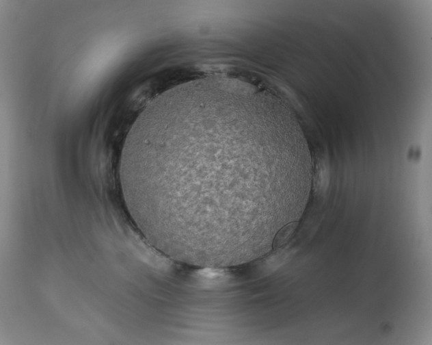 X0000113340477200909291034