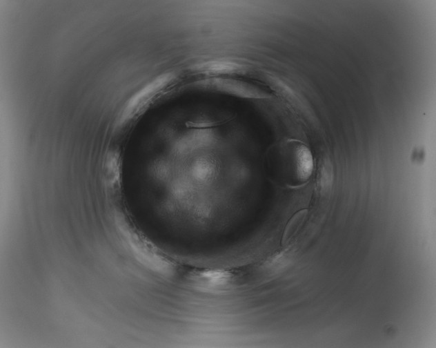 X0000113340478200909291034