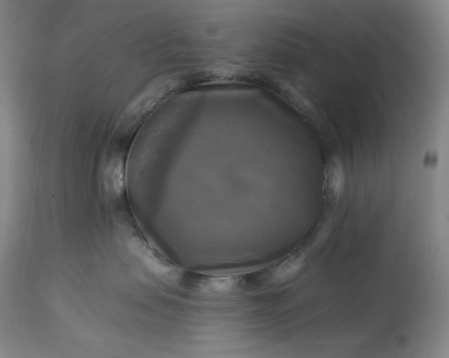 X0000113340479200909291034