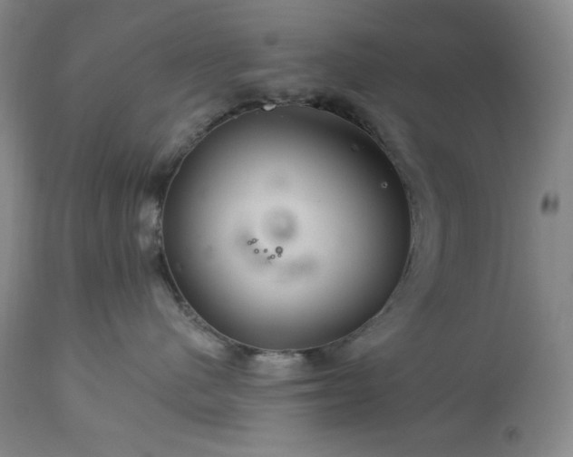 X0000113340480200909291034