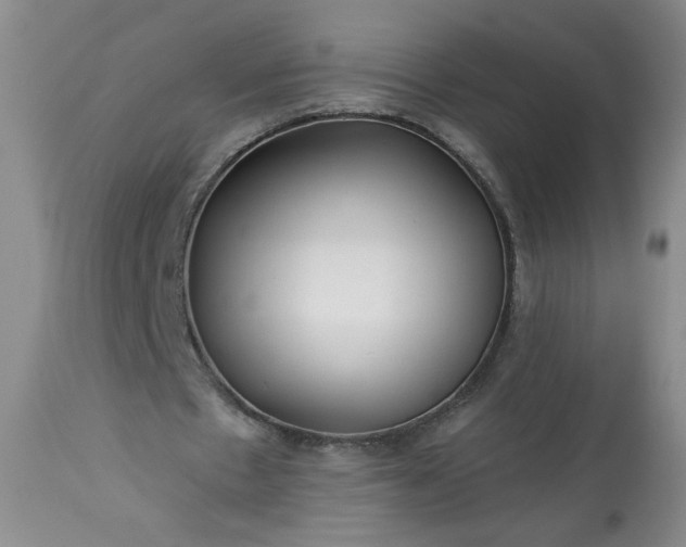 X0000113340481200909291034