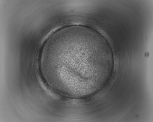 X0000113340482200909291034