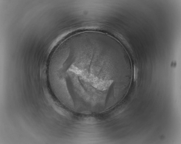 X0000113340483200909291034