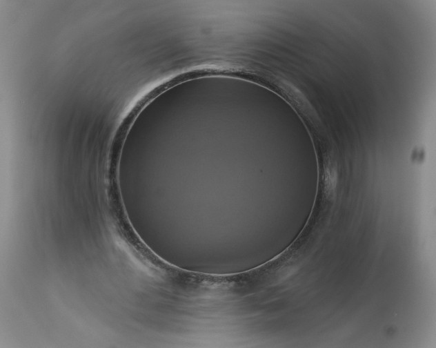 X0000113340484200909291034