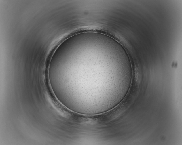 X0000113340486200909291033