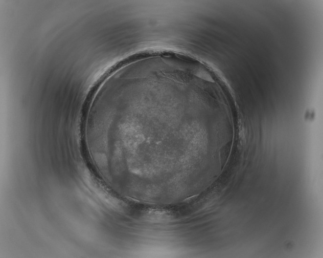 X0000113340487200909291033