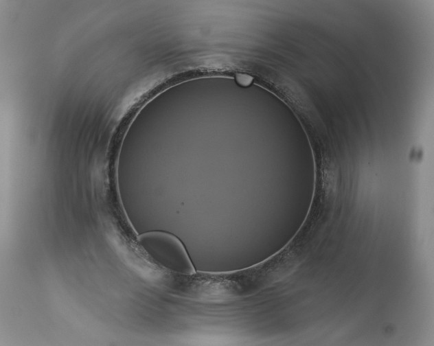 X0000113340488200909291033